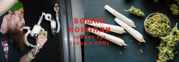 альфа пвп Гусев