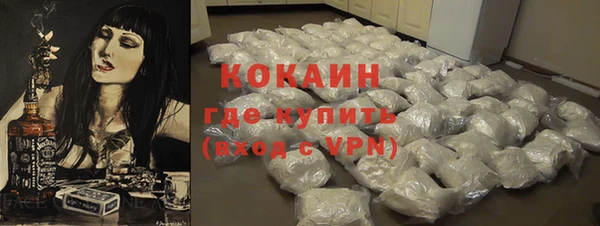ПСИЛОЦИБИНОВЫЕ ГРИБЫ Гусь-Хрустальный