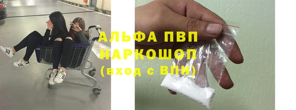 ПСИЛОЦИБИНОВЫЕ ГРИБЫ Гусь-Хрустальный
