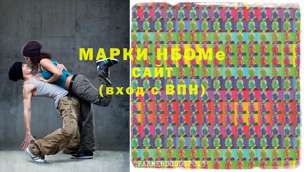 ПСИЛОЦИБИНОВЫЕ ГРИБЫ Гусь-Хрустальный