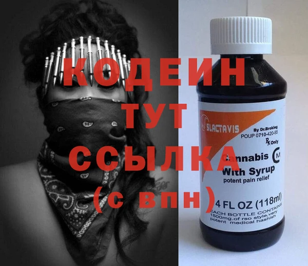 ПСИЛОЦИБИНОВЫЕ ГРИБЫ Гусь-Хрустальный