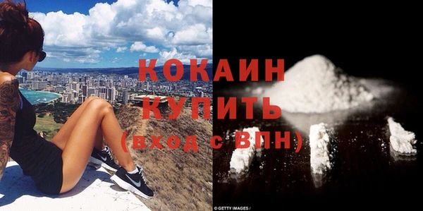альфа пвп Гусев
