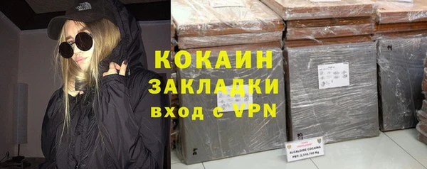 альфа пвп Гусев